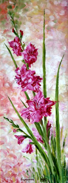 Gladiole